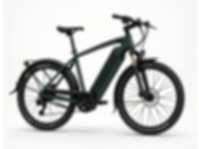 Foxfire Voyager 750 Long-Range E-Bike